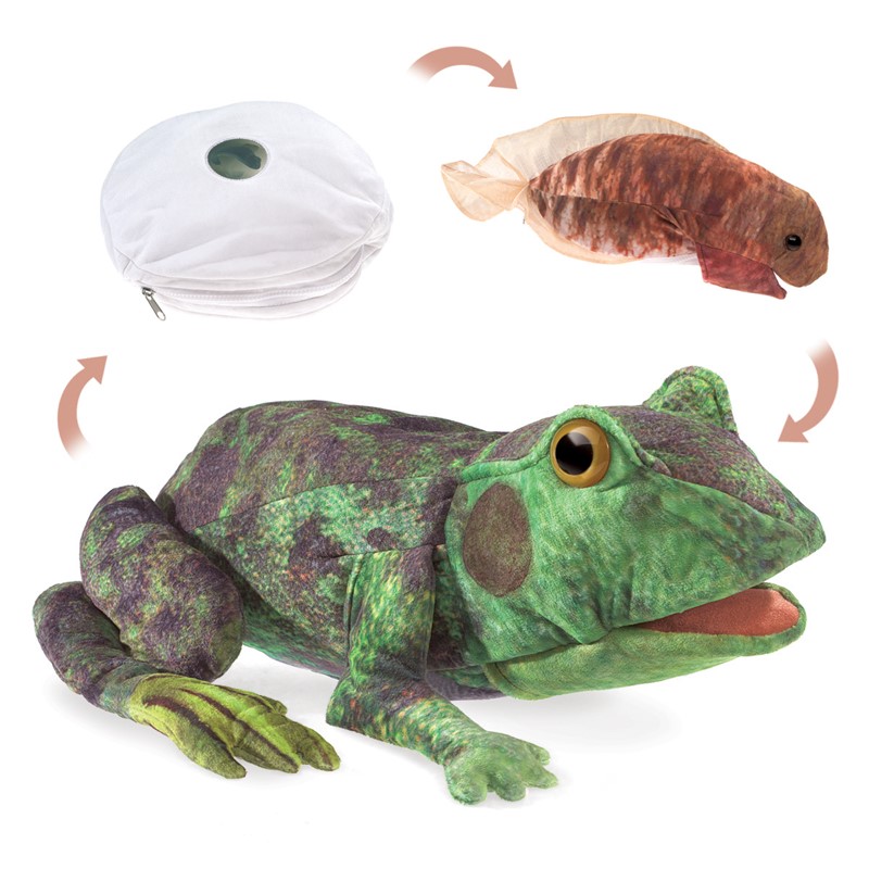Folkmanis Handpuppe Metamorphose Frosch Folkmanis Handpuppe Metamorphose Frosch