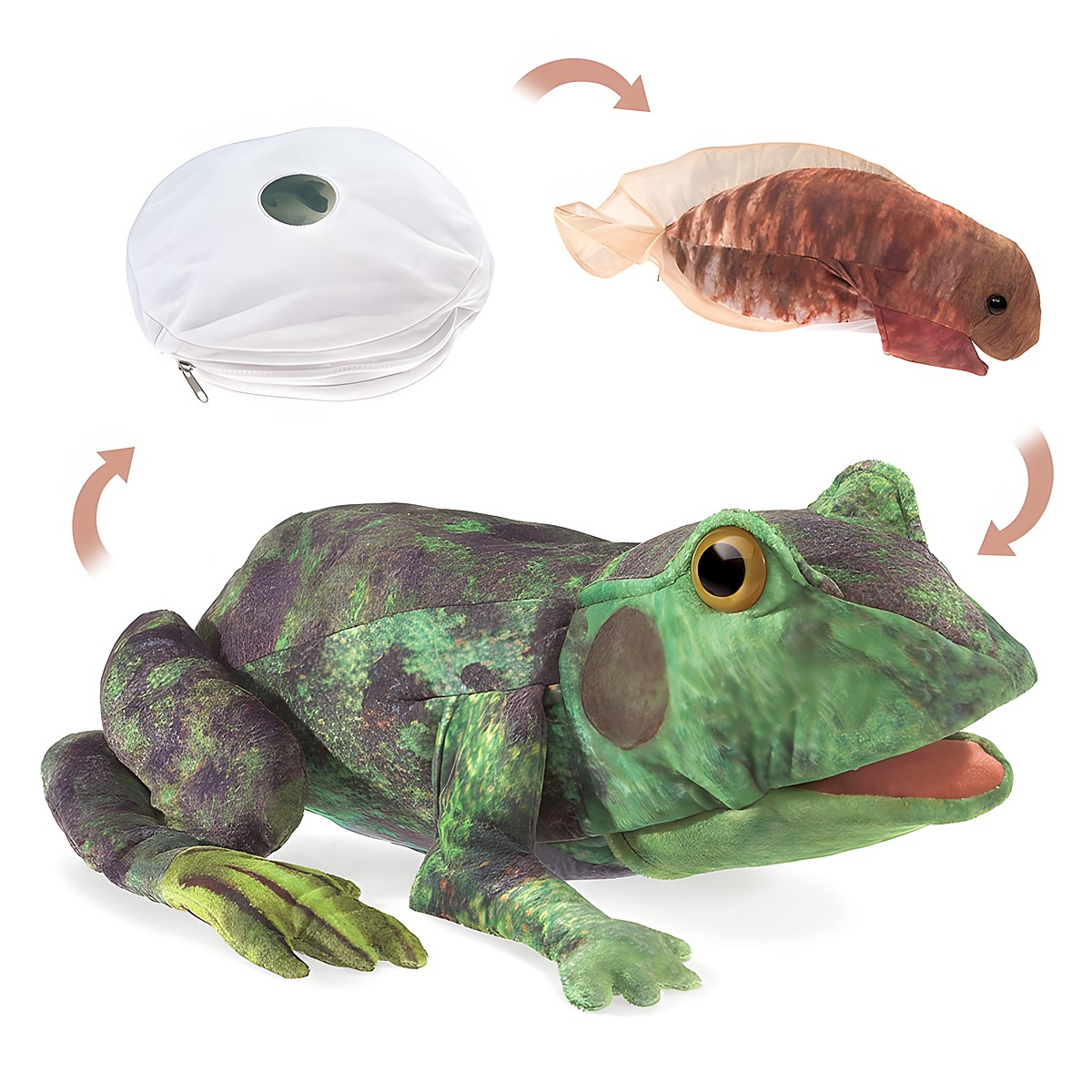 Folkmanis hand puppet frog metamorphosis in three life stages: egg, tadpole, and fully grown green frog with movable mouth