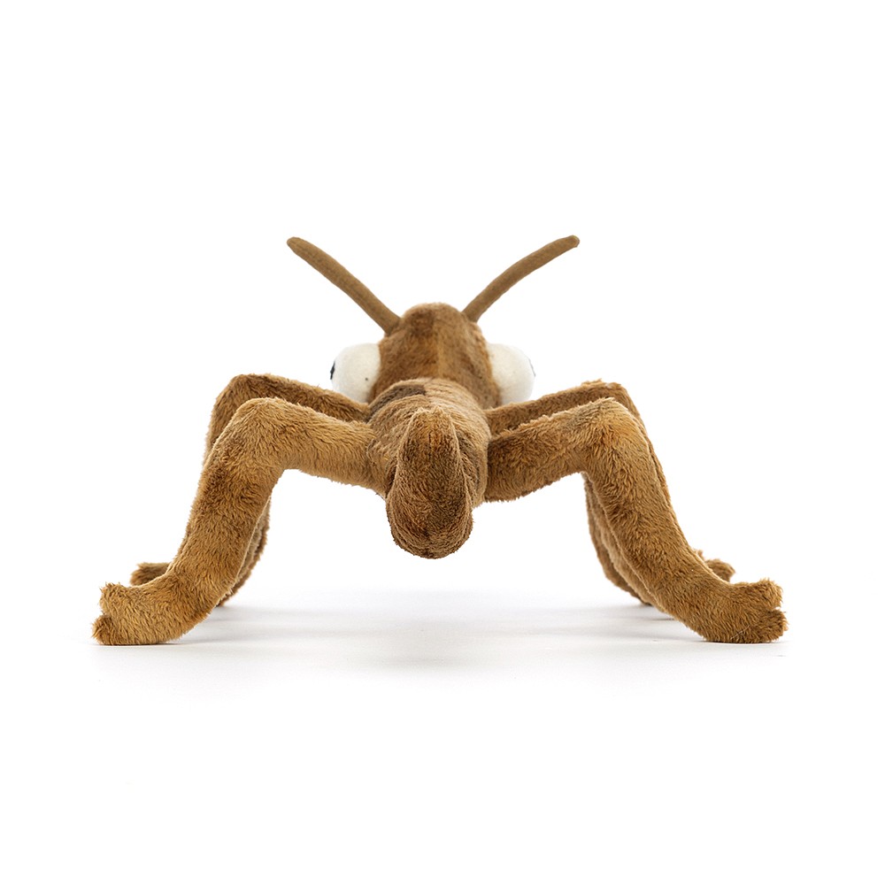 Jellycat Cuddly Toy Stick Insect - Stanley Stick Insect (Plush Toy) Jellycat Cuddly Toy Stick Insect - Stanley Stick Insect (Plush Toy) - Produktbild 3