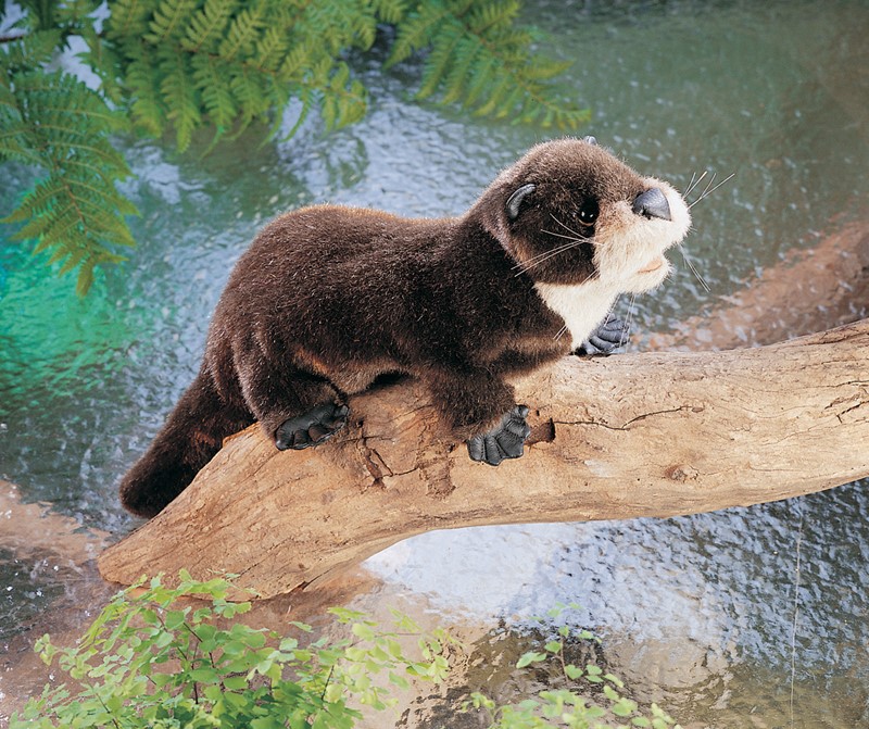 Folkmanis Handpuppe Flussotter aus dunkelbraunem Plüsch mit hellem Kehlfleck, auf einem Ast über Wasser positioniert, Seitenansicht