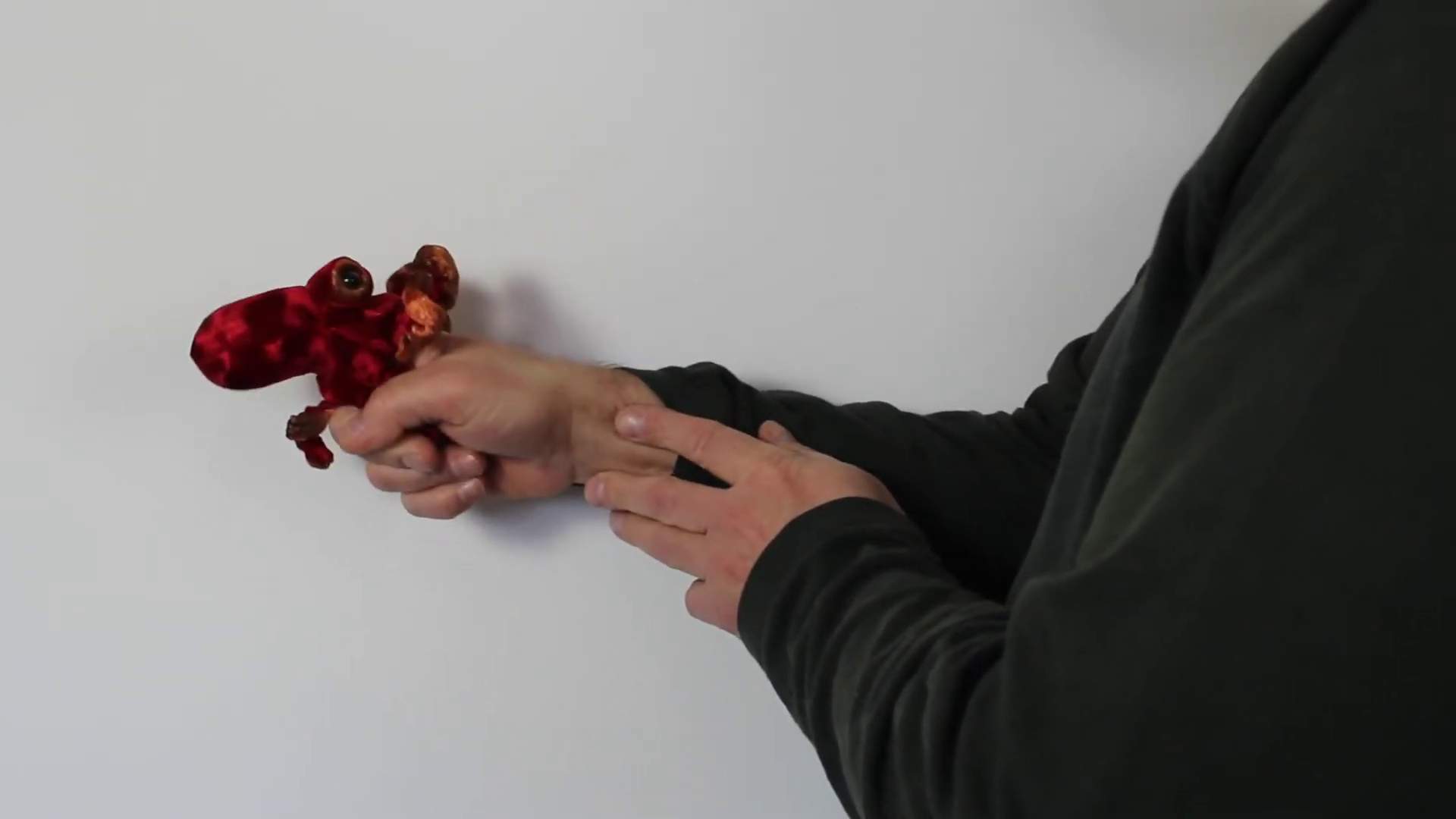 Video 1: Folkmanis Mini Red Octopus Finger Puppet