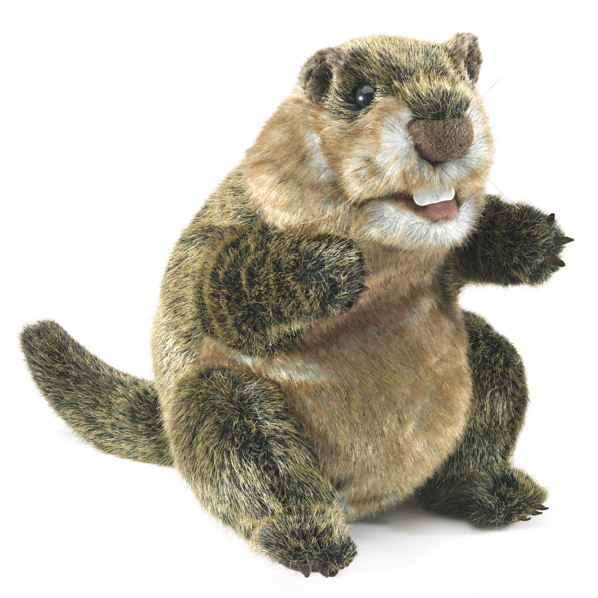 Folkmanis Handpuppe Murmeltier in braun-grauem Fell, aufrecht sitzend mit geöffnetem Maul und erhobenen Vorderpfoten