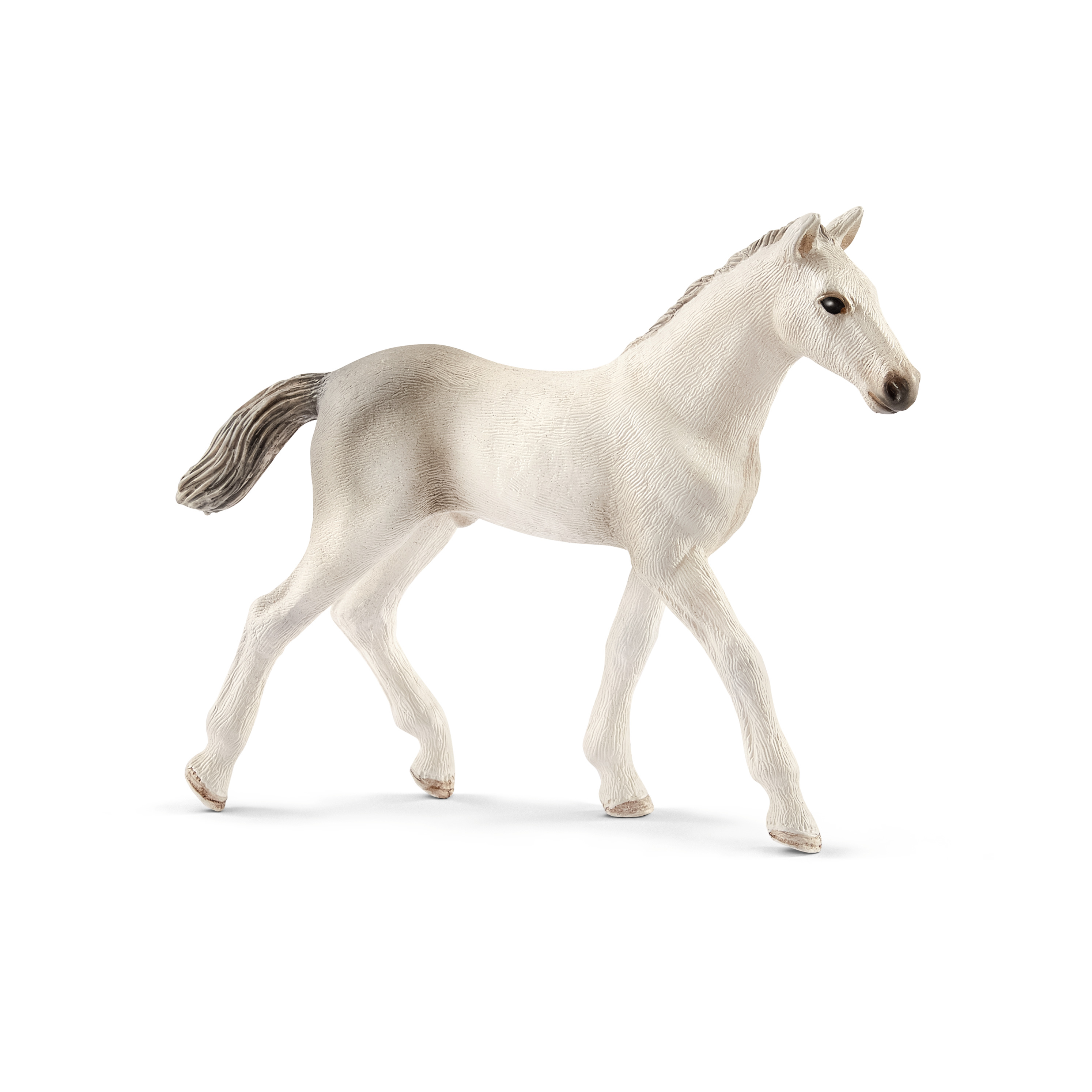 Holsteiner foal - Schleich horse club