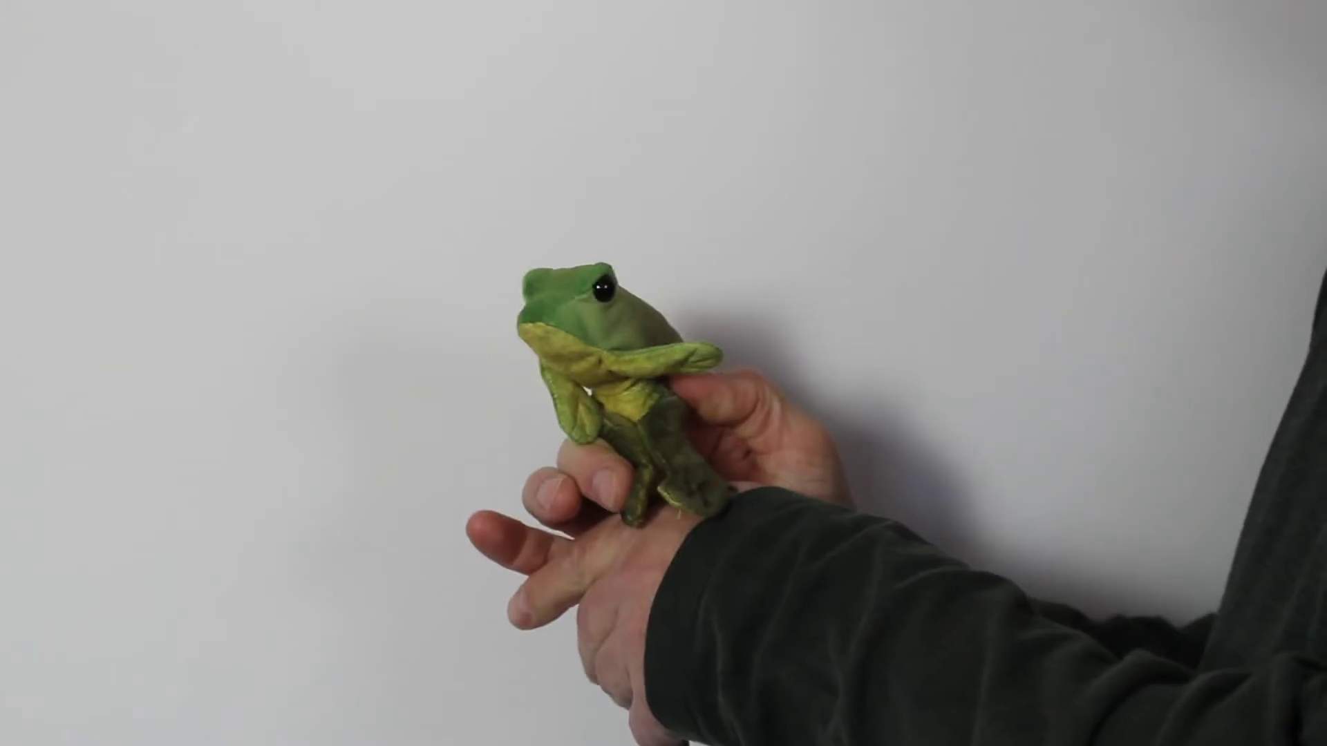 Video 1: Folkmanis Mini Sitting Frog Finger Puppet