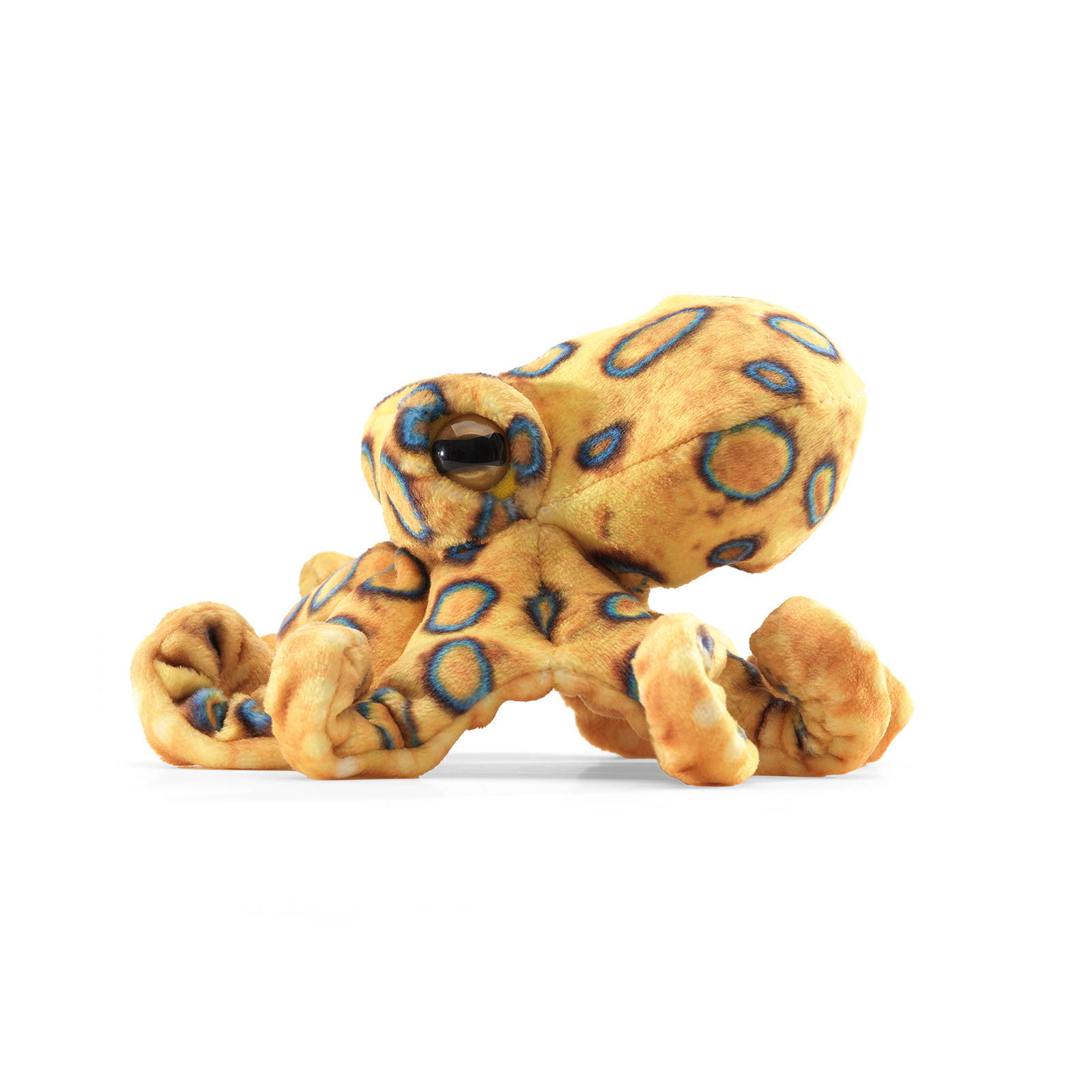 Folkmanis Mini Blue-Ringed Octopus Finger Puppet Folkmanis Mini Blue-Ringed Octopus Finger Puppet - Produktbild 2