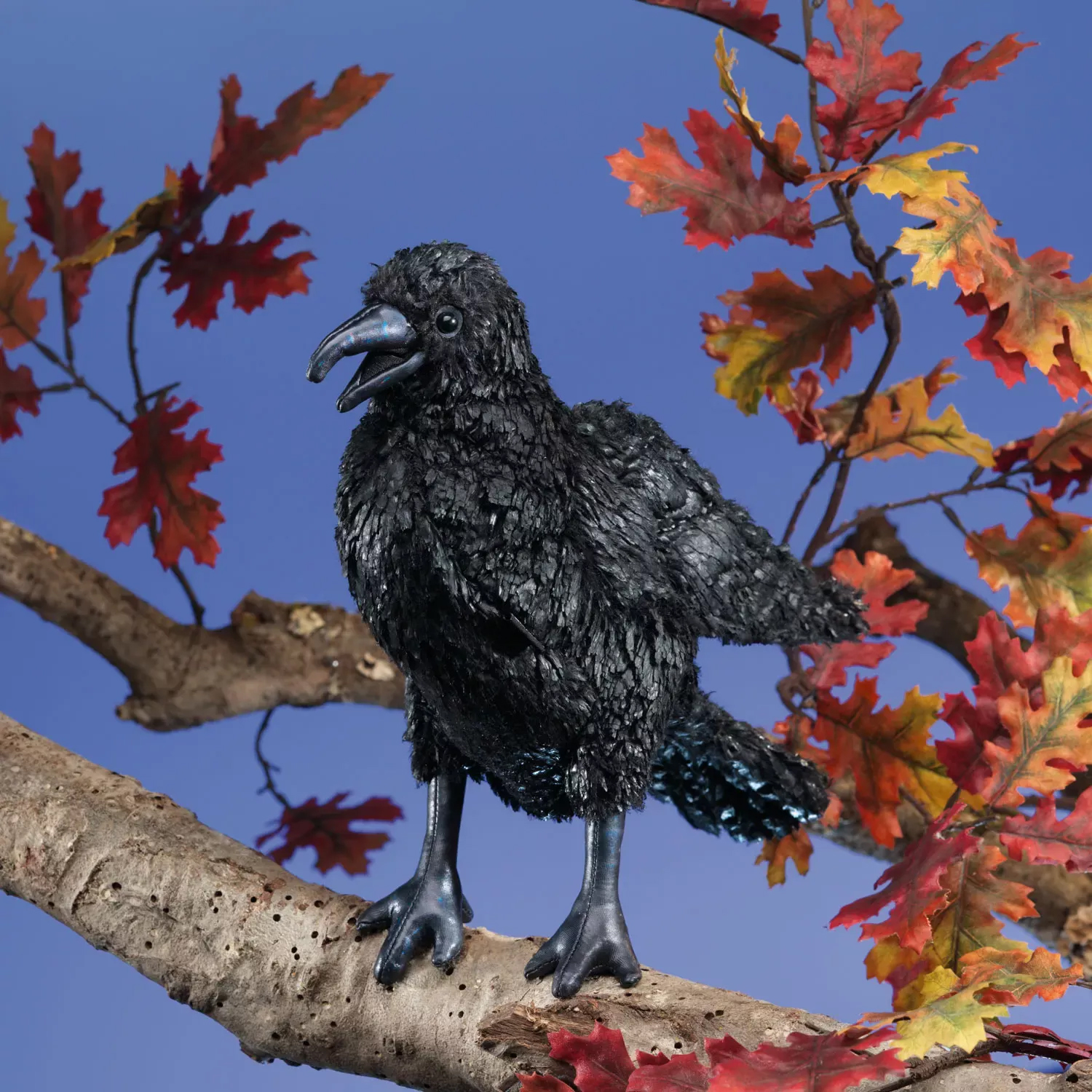 Folkmanis Handpuppe Krähe mit schwarzem Strupp-Gefieder und geöffnetem Schnabel, auf einem Ast mit Herbstlaub posierend