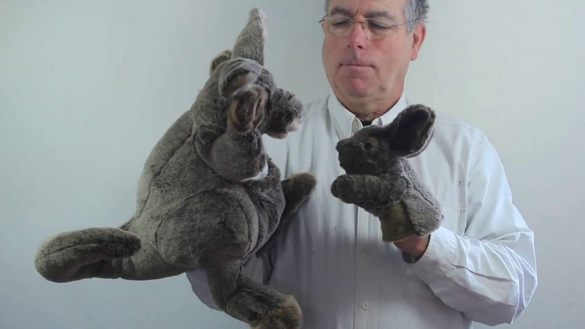 Video 1: Folkmanis Kangaroo with Joey Hand Puppet