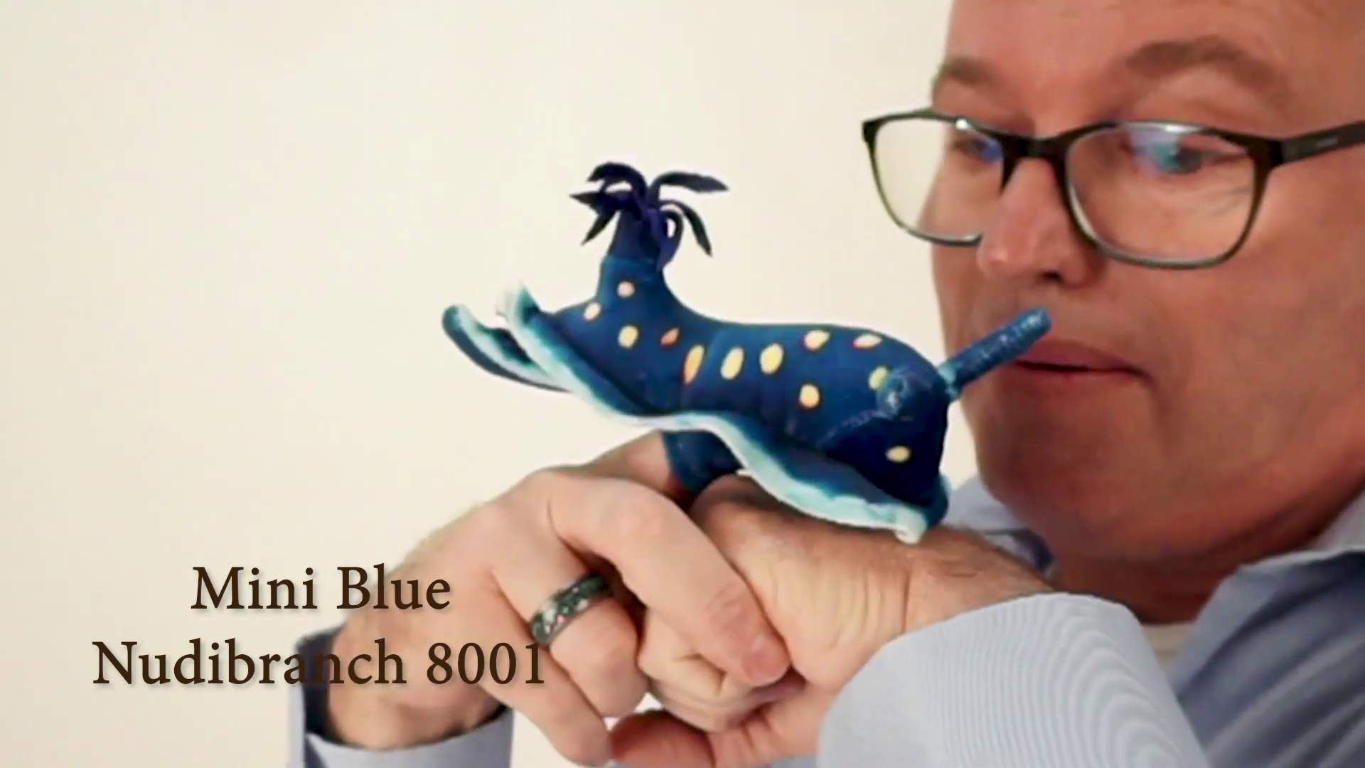 Video 1: Folkmanis Mini Blue Nudibranch Finger Puppet