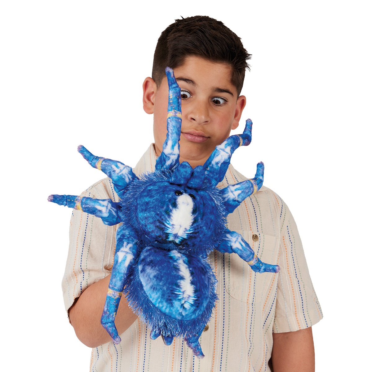 Junge führt die Folkmanis Handpuppe Blaue Ornament-Vogelspinne mit blau-weißem Plüschkörper und acht Beinen an der Hand.