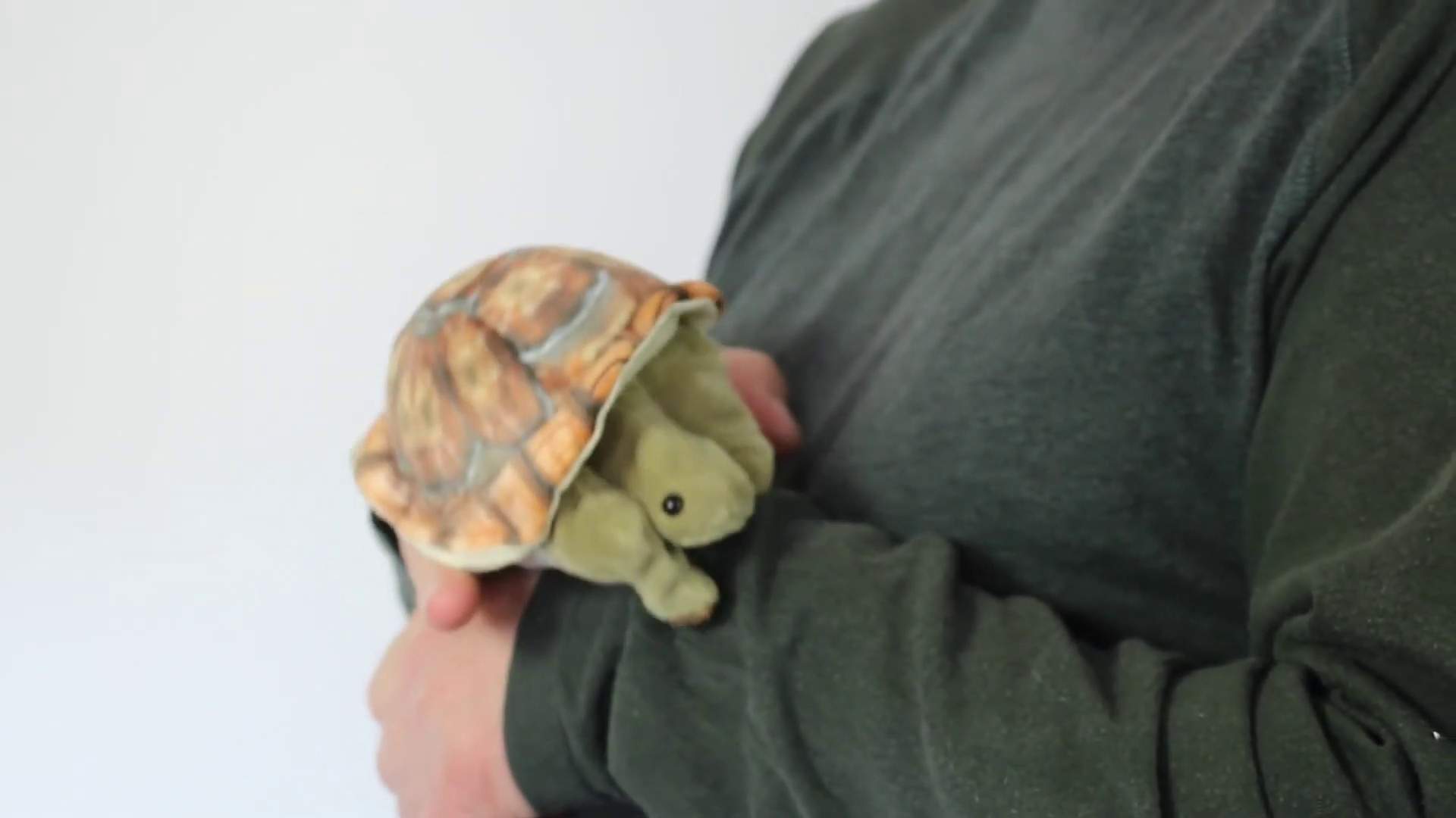Video 1: Folkmanis Mini Tortoise Finger Puppet