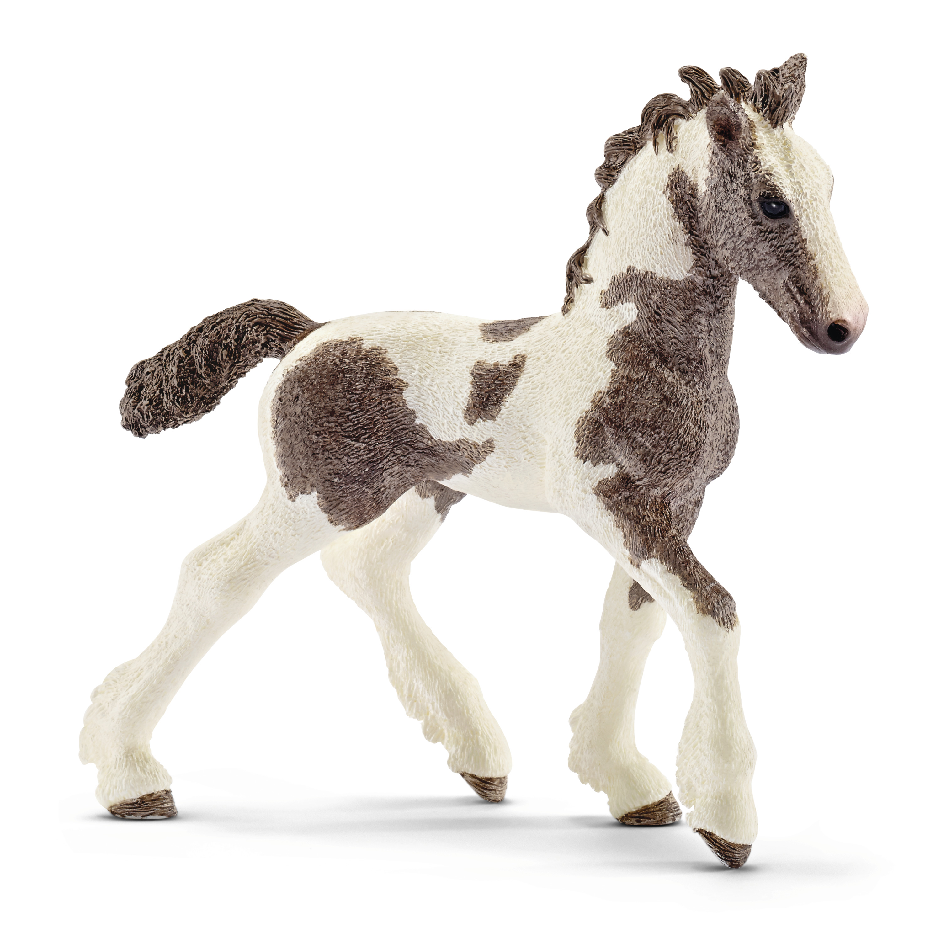 Tinker foal - Schleich farm world Tinker foal - Schleich farm world