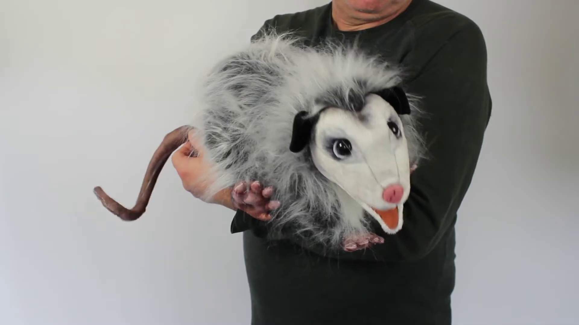 Video 2: Folkmanis Opossum Hand Puppet