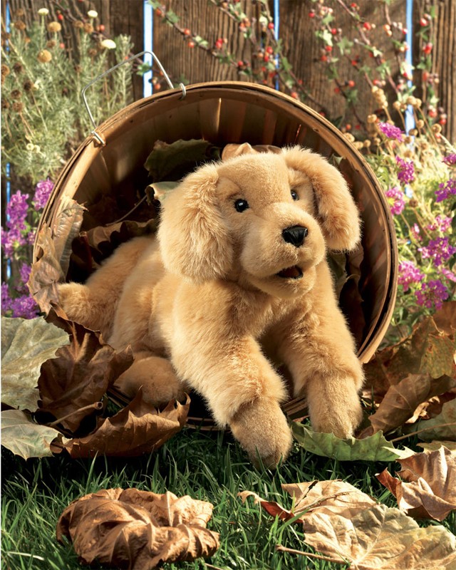 Folkmanis Handpuppe Golden Retriever Baby in goldenem Plüsch, aus einem Weidenkorb lugend, umgeben von Herbstlaub