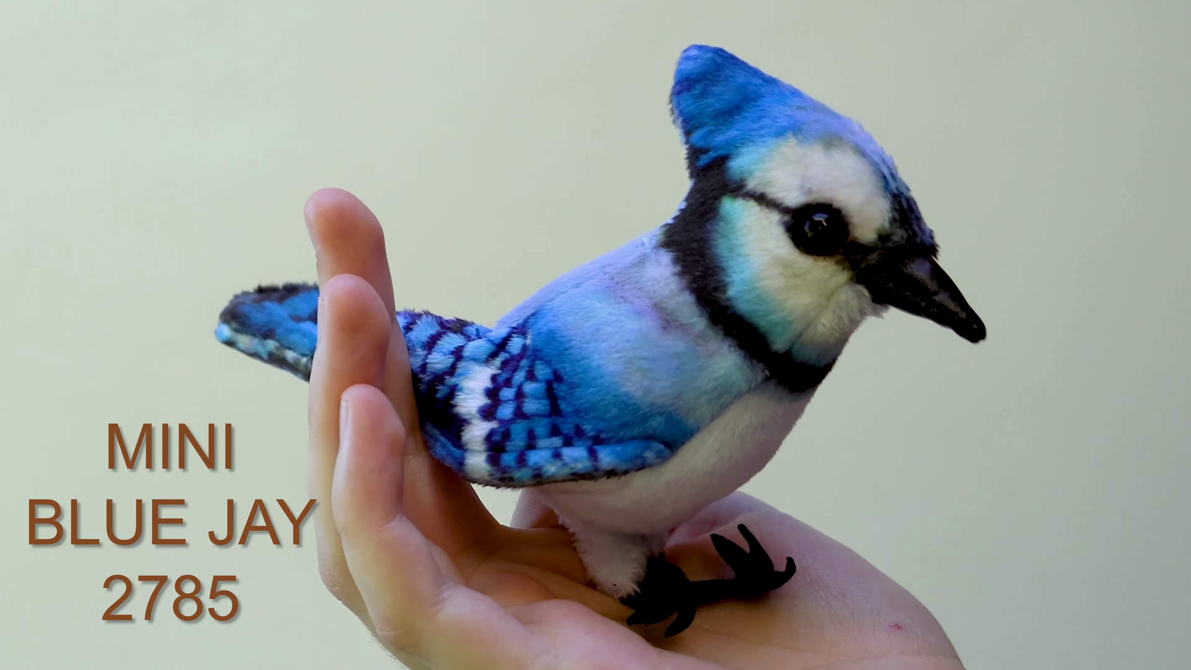 Video 1: Folkmanis Mini Blue Jay Finger Puppet