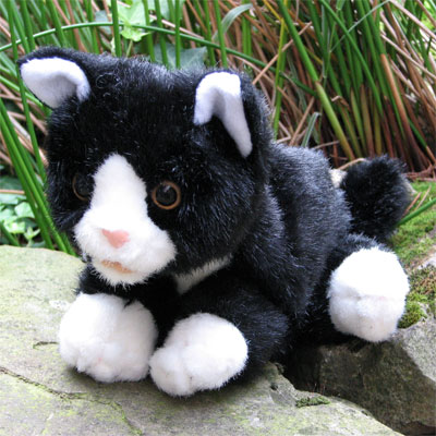 Living Puppets Handpuppe schwarz-weiße Katze auf einem Stein liegend, mit Gräsern im Hintergrund, Außenaufnahme