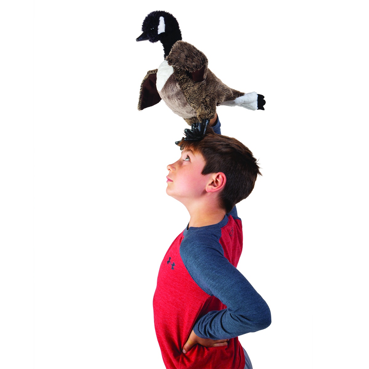 Folkmanis Handpuppe Kanada-Gans mit schwarzem Kopf und braunem Gefieder, von einem Jungen auf dem Kopf balanciert