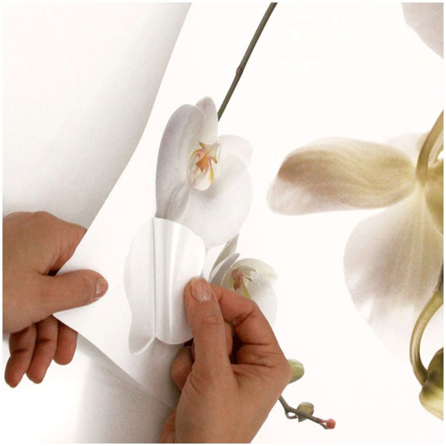 White Orchid Wandbild - RoomMates White Orchid Wandbild - RoomMates - Produktbild 3
