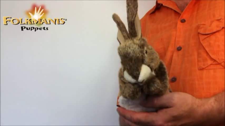 Folkmanis Little Hare Hand Puppet (Small Stage Puppet) Demo