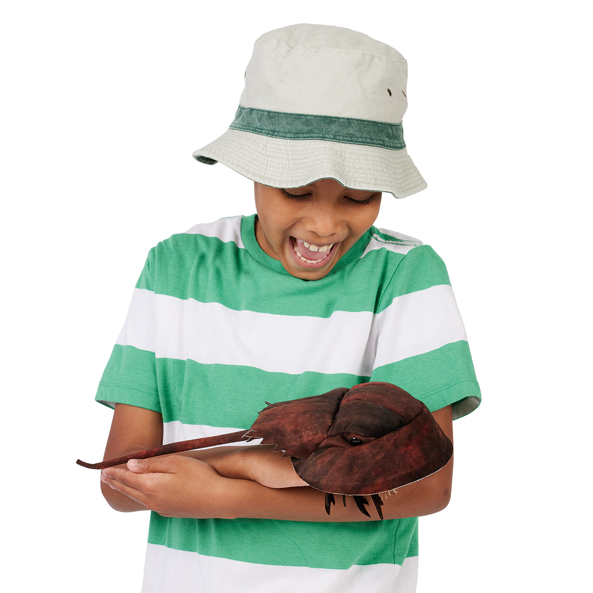 Lachender Junge mit Bucket Hat hält die Folkmanis Handpuppe Pfeilschwanzkrebs in Dunkelbraun auf beiden Armen.