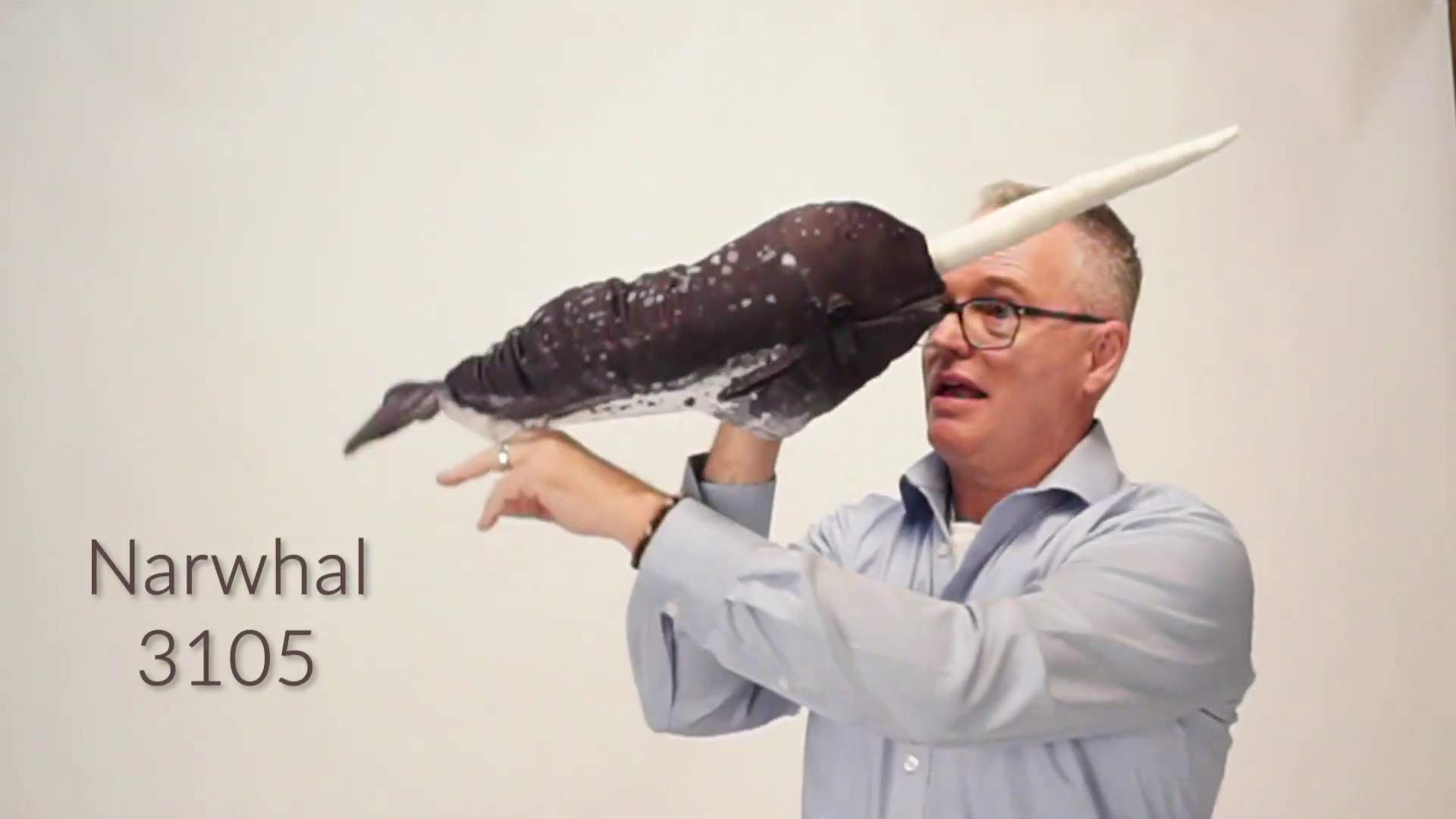 Video 2: Folkmanis Handpuppe Narwal
