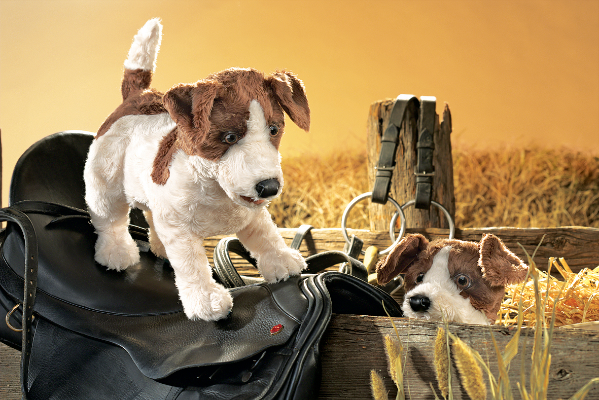 Zwei Folkmanis Handpuppen Jack Russell Terrier in Weiß-Braun, eine stehend auf einem Reitsattel, die andere lugend aus einer Holzkiste mit Stroh.
