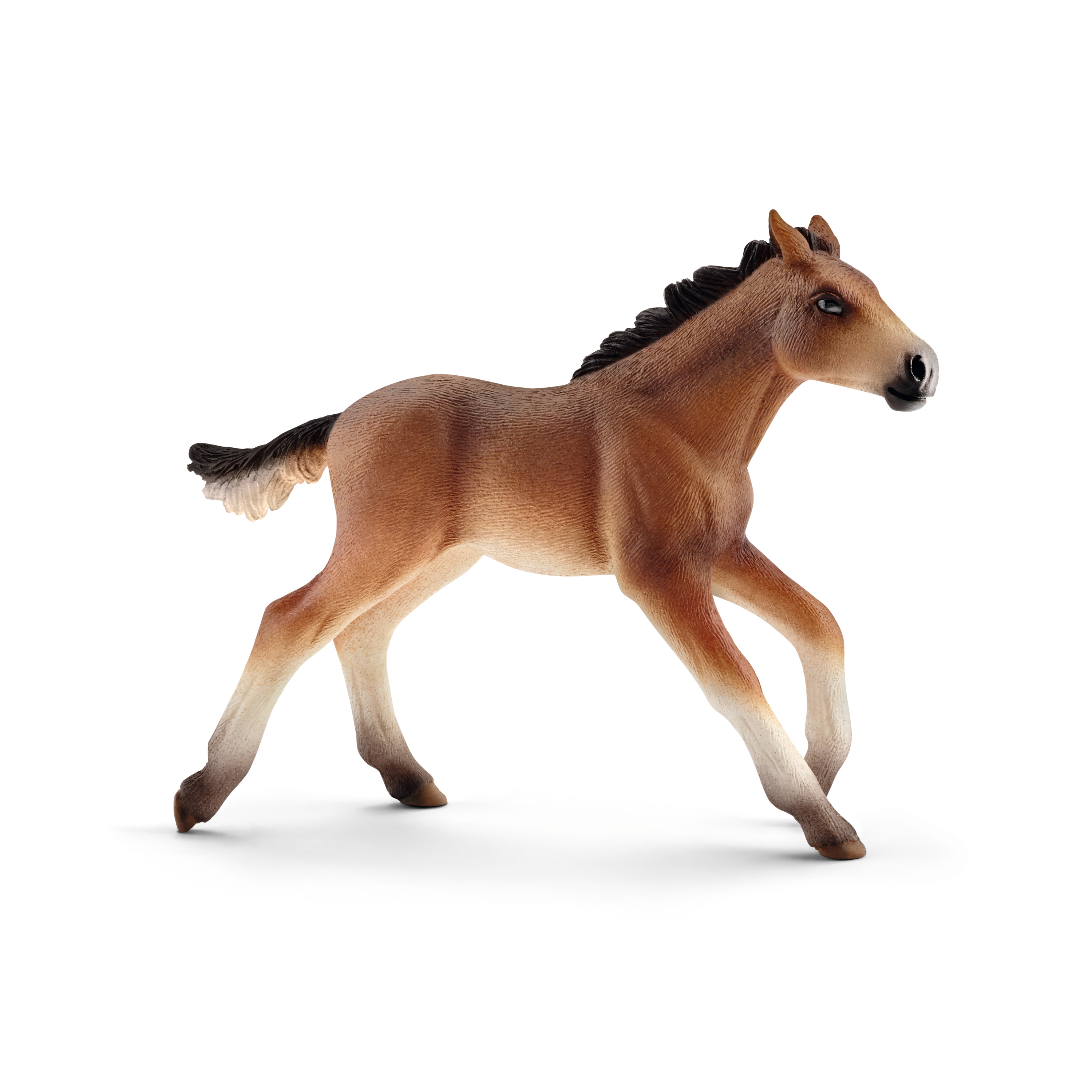 Mustang Fohlen - Schleich Farm World Mustang Fohlen - Schleich Farm World