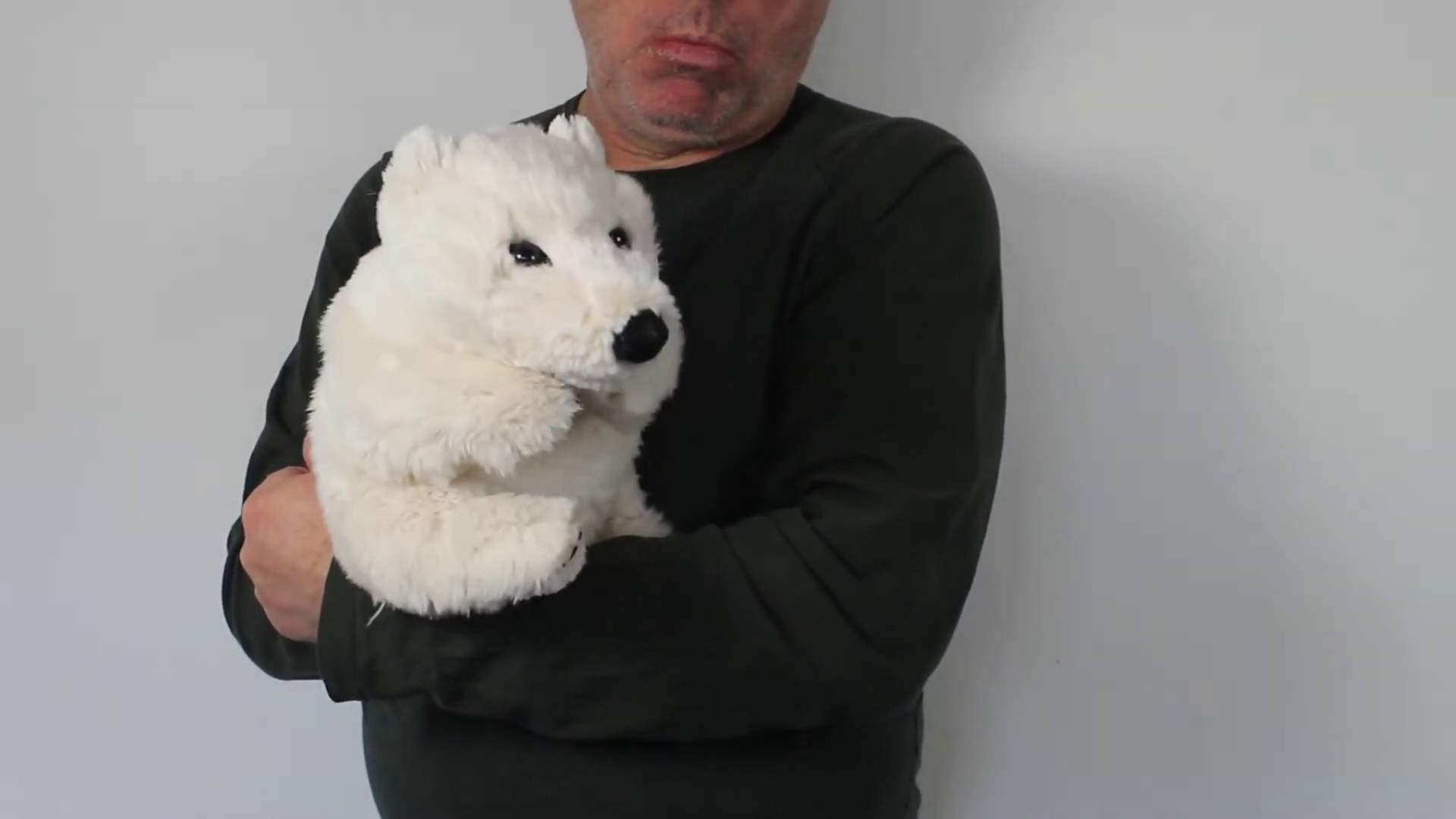 Video 1: Folkmanis Sitting Polar Bear Hand Puppet