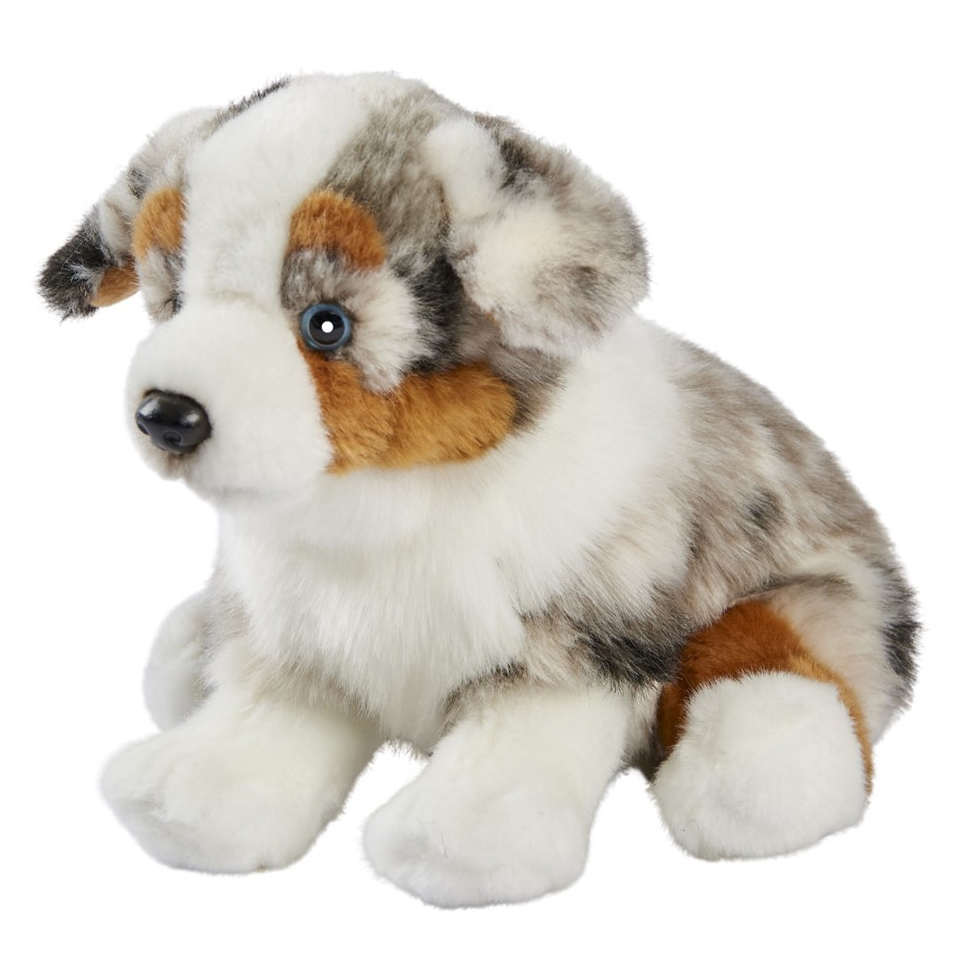Sitzender Australian-Shepherd-Welpe von Anima im grau-weißen Merle-Fell mit braunen Abzeichen