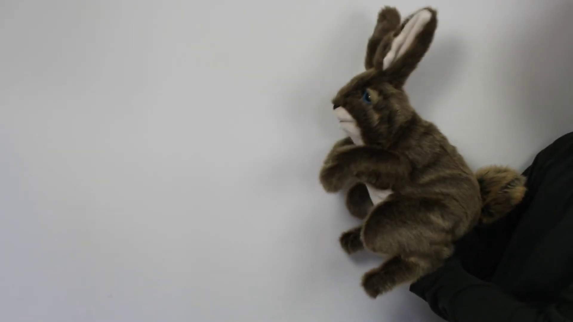 Video 2: Folkmanis Hare Hand Puppet