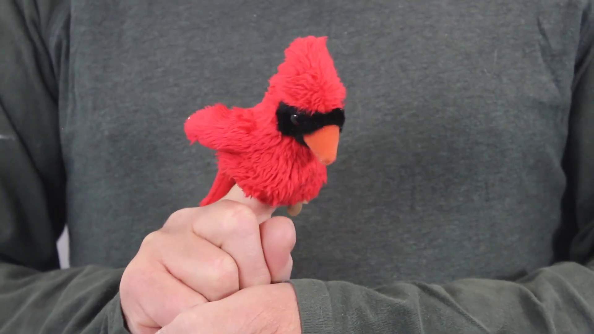 Video 1: Folkmanis Mini Cardinal Finger Puppet