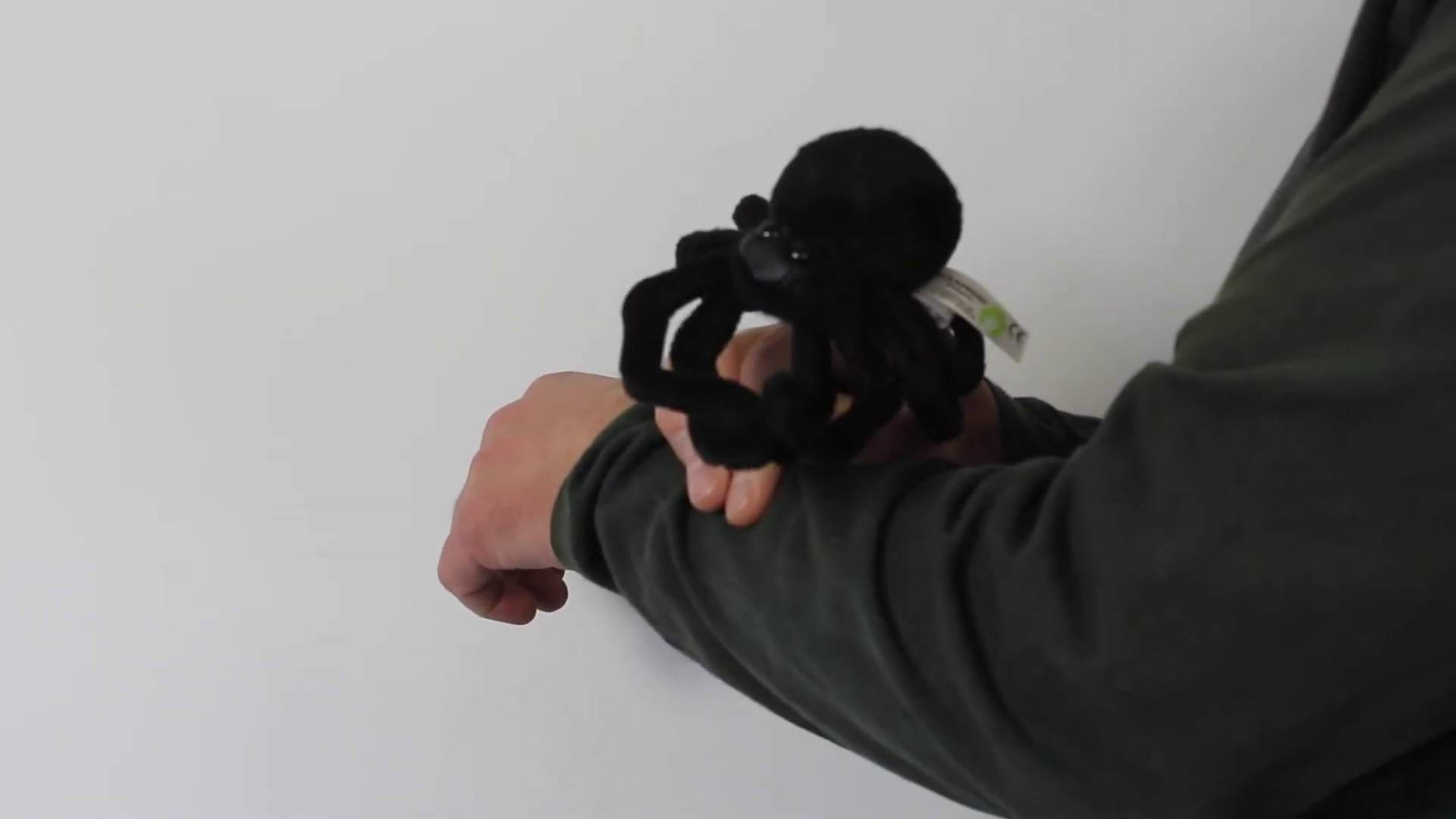 Video 1: Folkmanis Mini Spider Finger Puppet