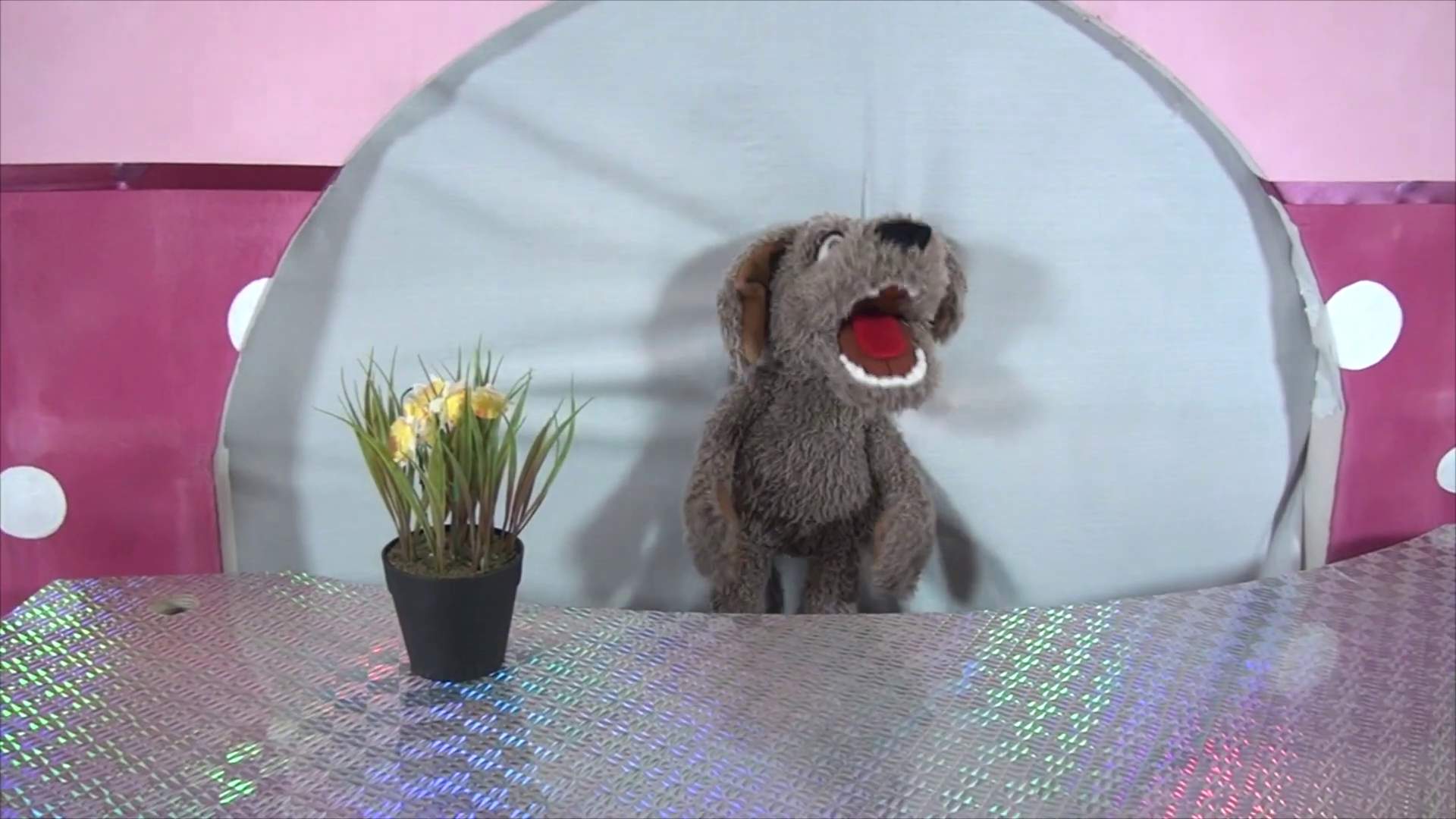 Video 1: Living Puppets Handpuppe Locke der kleine Hund
