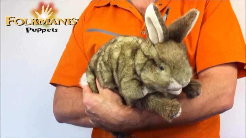 Video 2: Folkmanis Cottontail Rabbit Hand Puppet