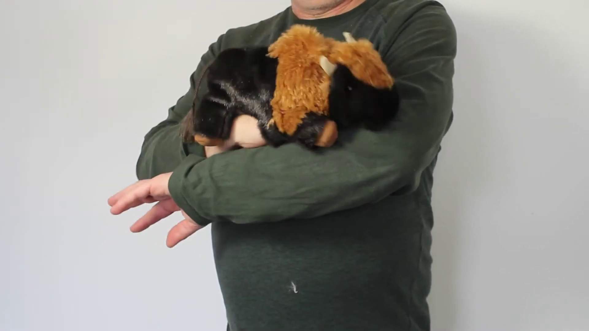 Video 1: Folkmanis Handpuppe kleines Bison