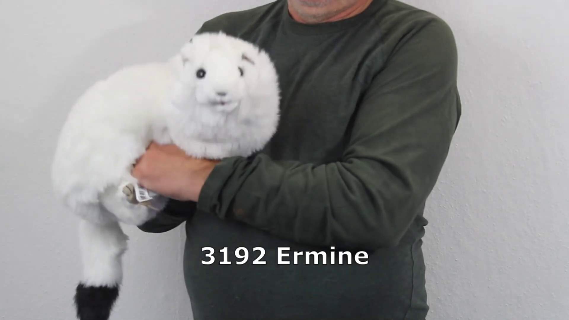 Video 1: Folkmanis Handpuppe Hermelin
