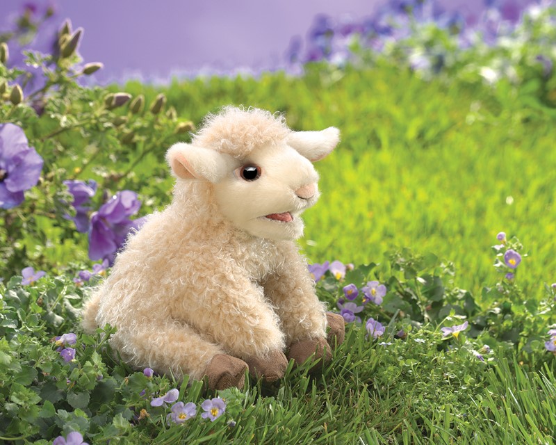 Folkmanis Handpuppe kleines Lamm mit cremefarbenem Lockenflor und braunen Hufen, sitzend auf einer Blumenwiese