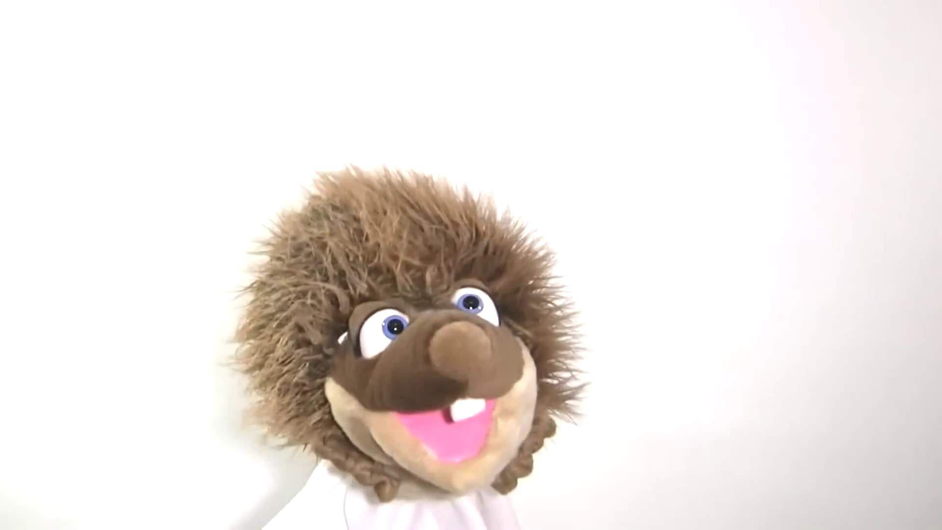 Video 1: Living Puppets Handpuppe Sören der Igel