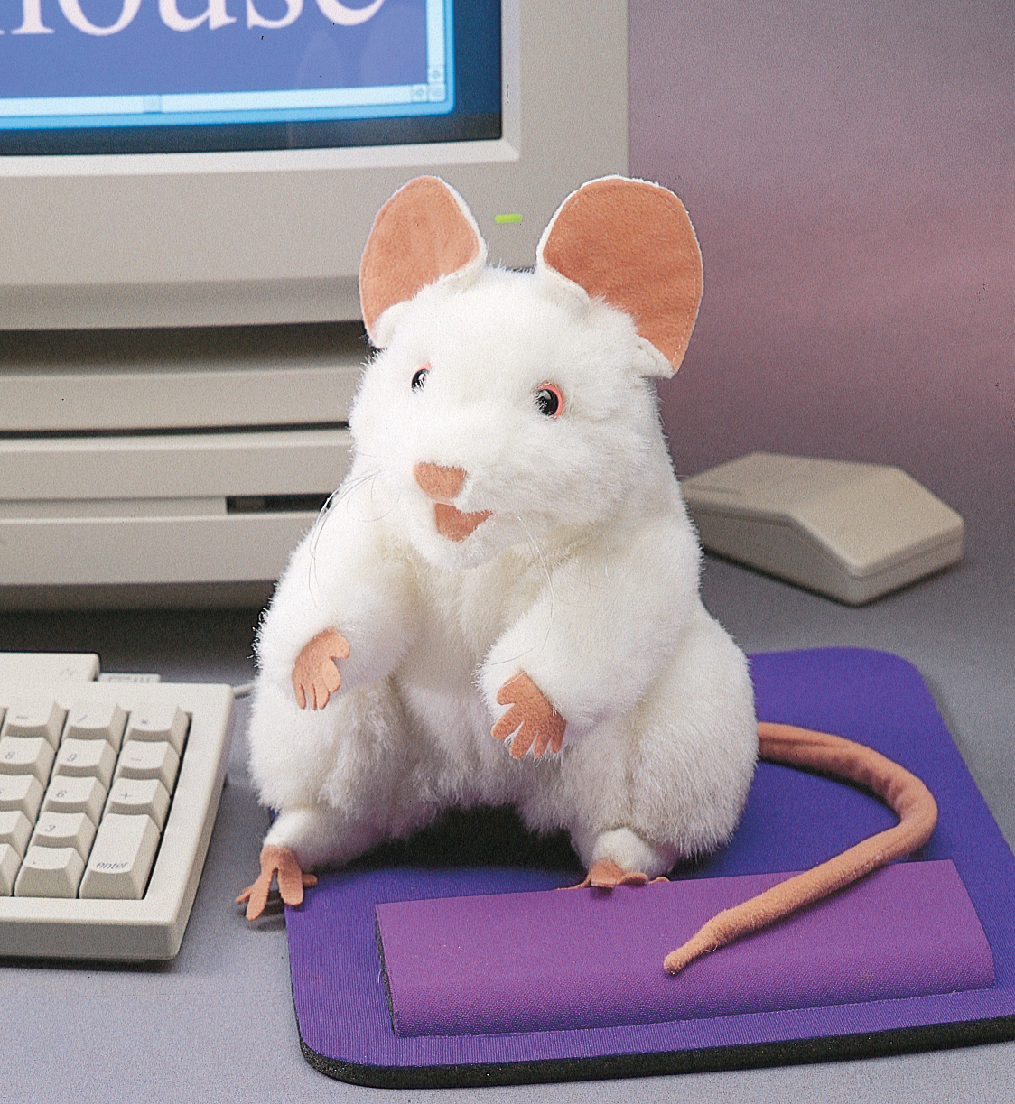 Folkmanis Handpuppe weiße Maus mit rosafarbenen Ohren und langem Schwanz, aufrecht sitzend auf einem lila Mauspad vor einem PC-Monitor.