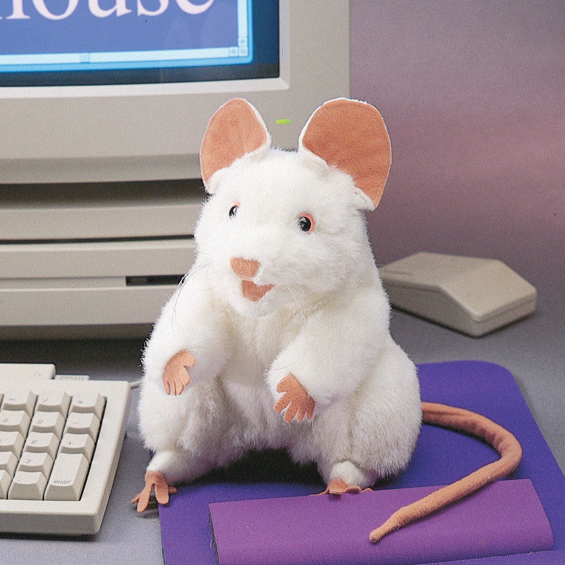 Folkmanis Handpuppe weiße Maus mit rosafarbenen Ohren und langem Schwanz, aufrecht sitzend auf einem lila Mauspad vor einem PC-Monitor.