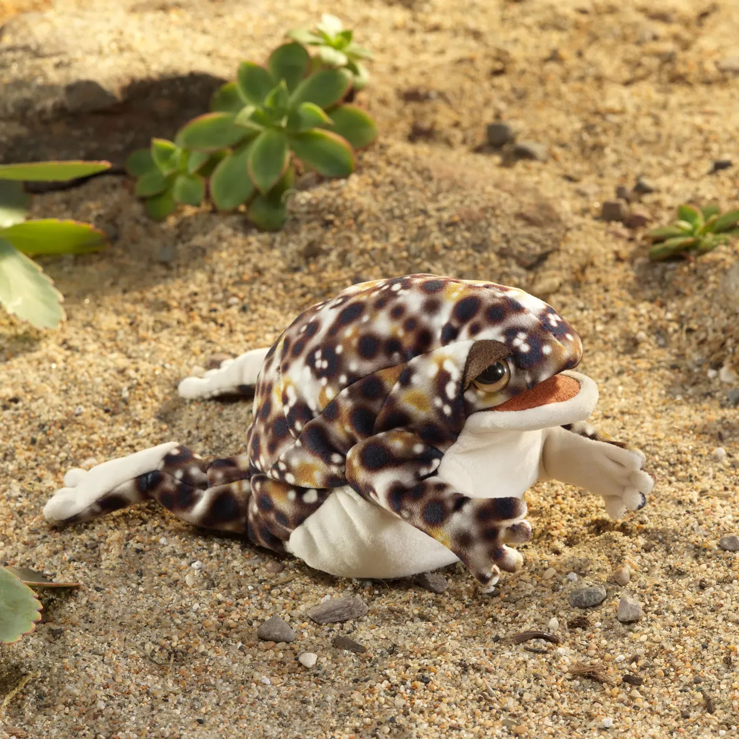 Folkmanis Handpuppe Wüstenregenfrosch mit dunkelbraunem Fleckenmuster und cremefarbenem Bauch, liegend auf Sand zwischen Sukkulenten