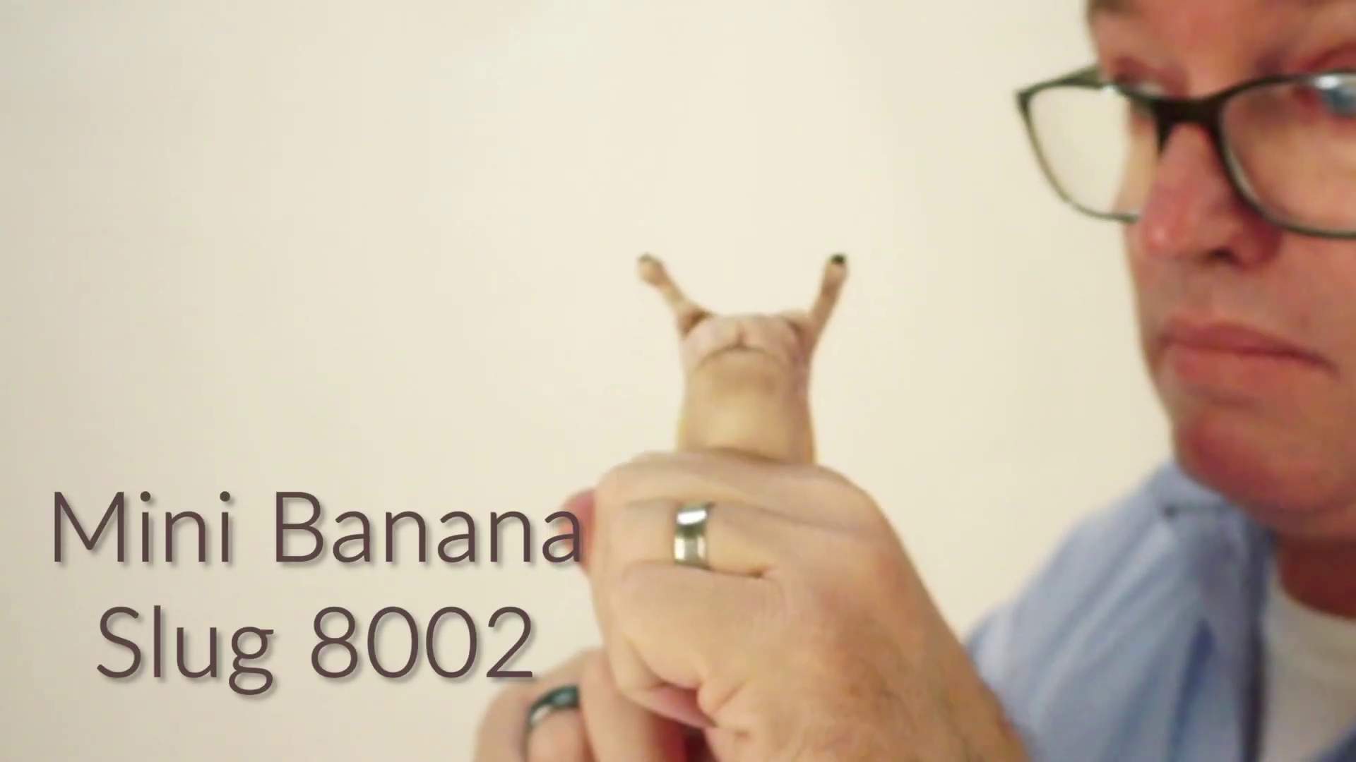 Video 1: Folkmanis Fingerpuppe mini Bananenschnecke