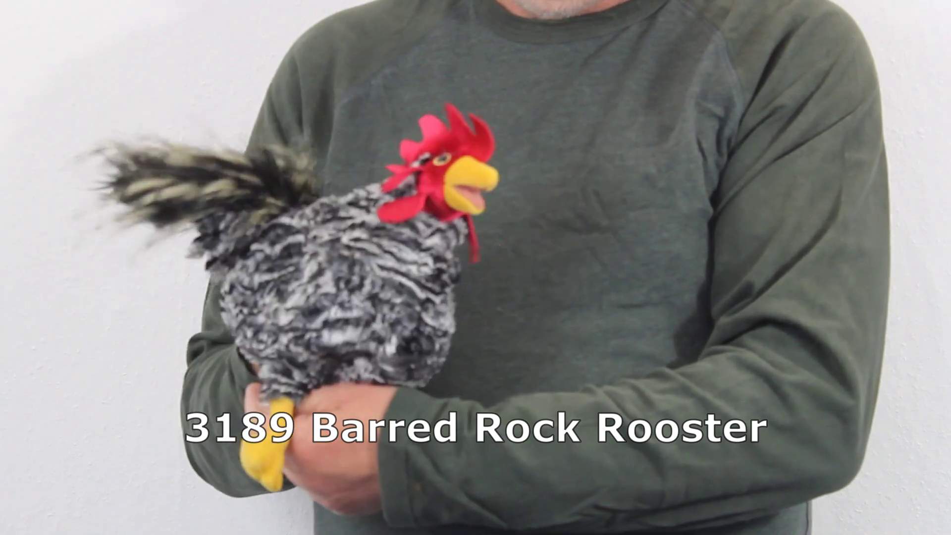 Video 1: Folkmanis Barred Rock Rooster Hand Puppet
