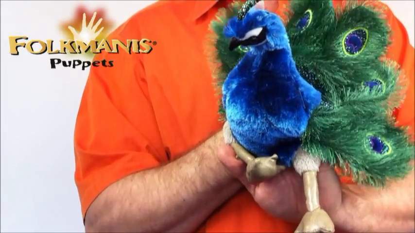 Video 2: Folkmanis Small Peacock Hand Puppet