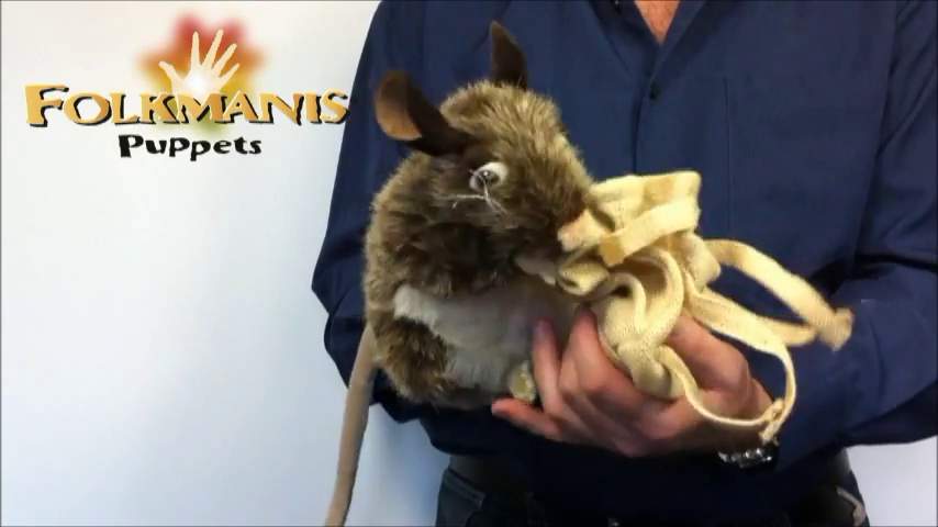 Video 2: Folkmanis Handpuppe Packratte