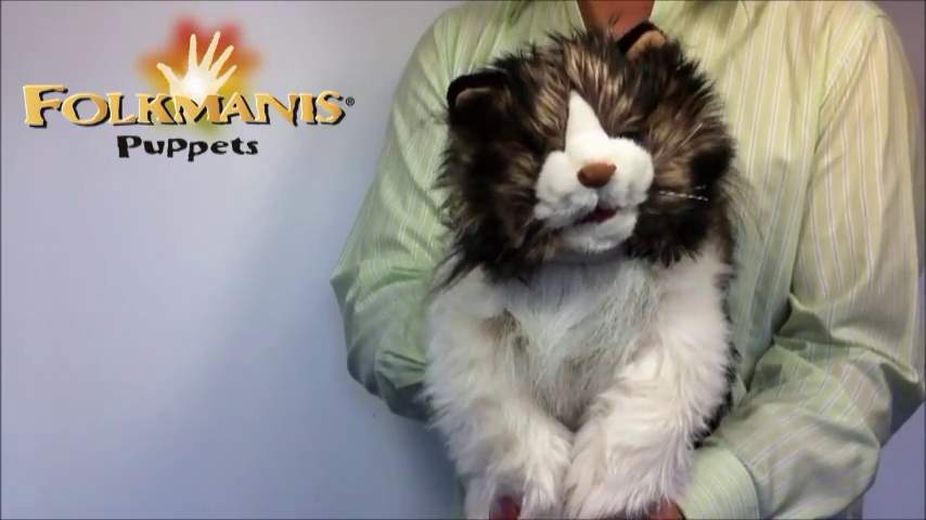 Video 2: Folkmanis Handpuppe wuschelige Katze