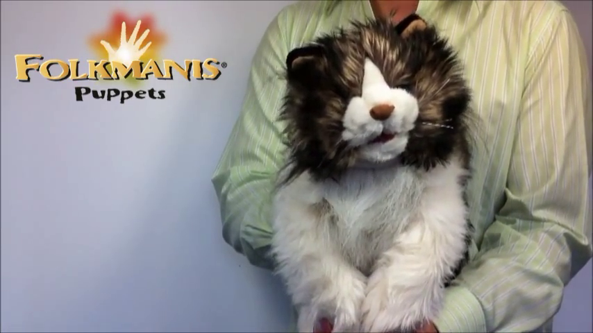 Folkmanis ragdoll cat hand puppet hotsell