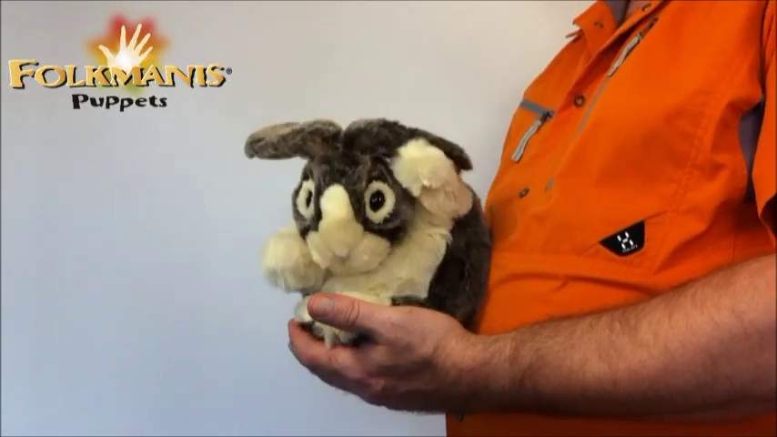 Video 2: Folkmanis Dutch Rabbit Hand Puppet
