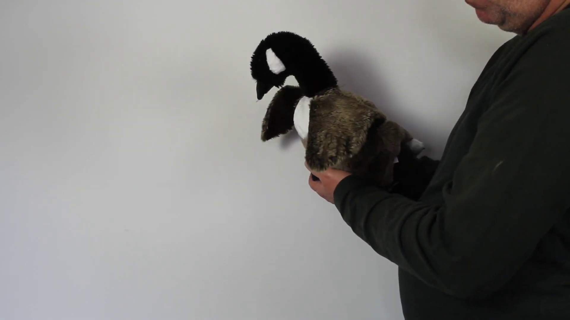 Video 1: Folkmanis Canada Goose Hand Puppet