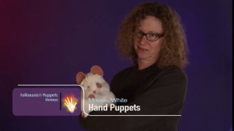 Folkmanis Handpuppe weiße Maus Demo