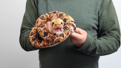 Video 2: Folkmanis riesige Fingerpuppe Klapperschlange